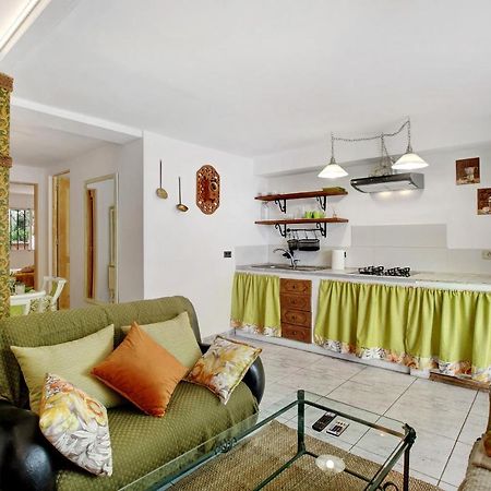 Apartamento Jardin Del Sol Tacoronte Esterno foto