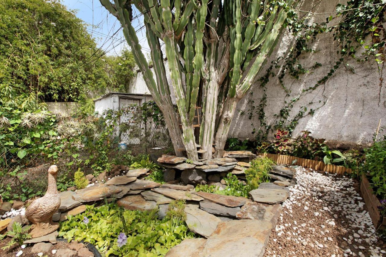 Apartamento Jardin Del Sol Tacoronte Esterno foto
