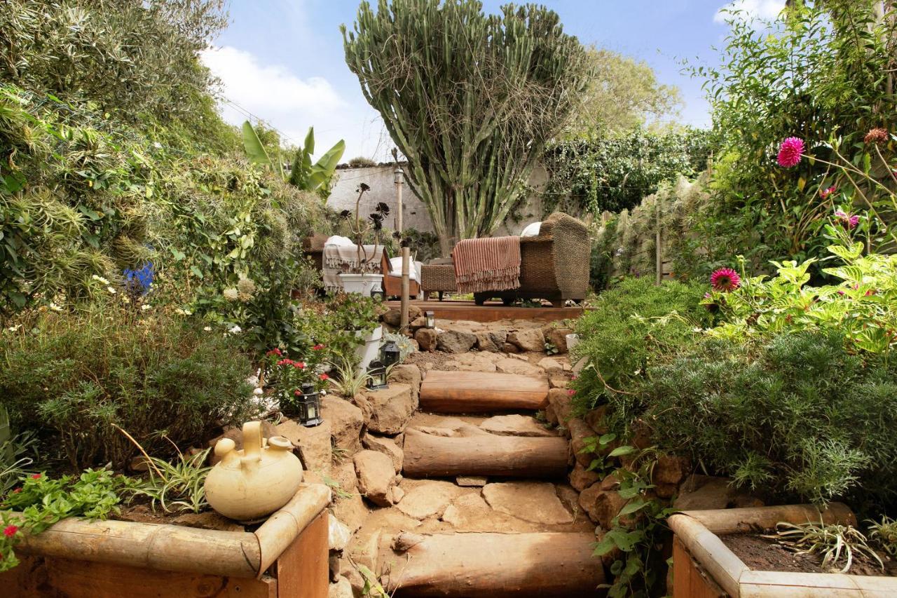 Apartamento Jardin Del Sol Tacoronte Esterno foto
